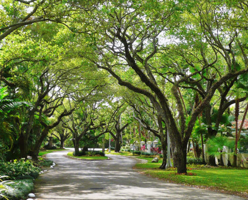 Street view in Coral Gables