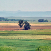 Merced, California — now part of Bay Area Sprawl