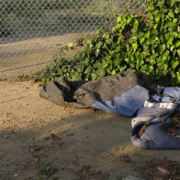 homeless in LA