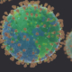 Illustration of the SARS-CoV-2 virus that causes COVID-19