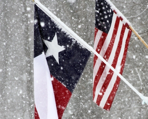 Texas and USA flags in snow