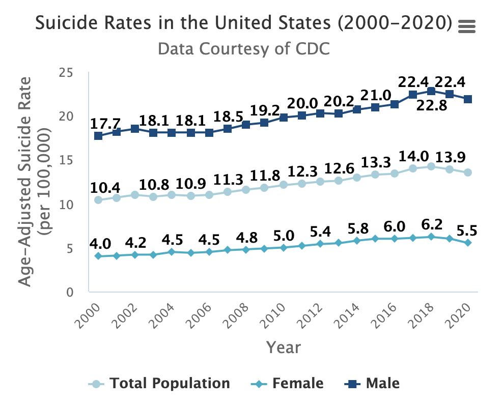 Suicide Rates in the U.S.A., 2000-2020